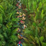 Foresta di cocco di Bay Mau