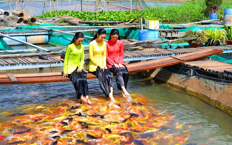 Côn Son, un îlot paisible à découvrir absolument à Can Tho