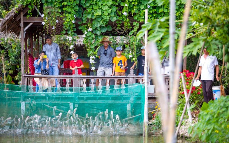 Observer les poissons serpents volants est une expérience très intéressante à Côn Son
