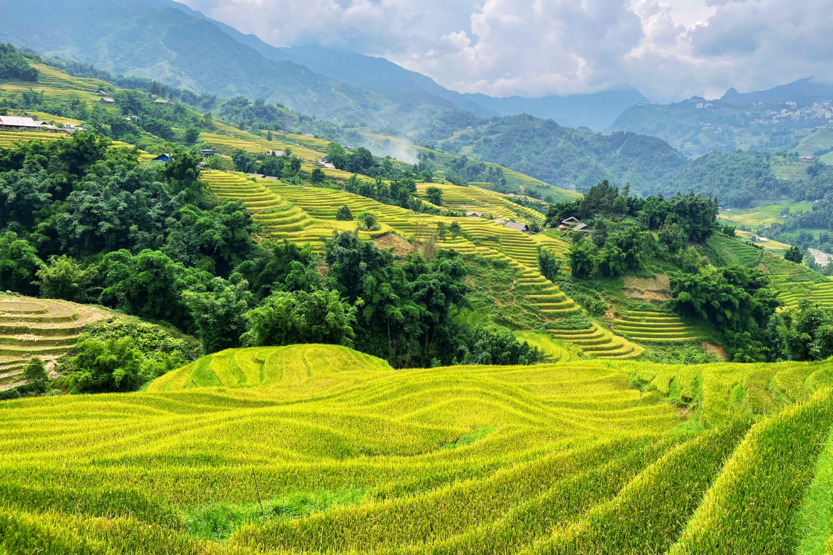 Y linh ho lao chai sapa vietnam