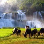 cascata di ban gioc cao bang vietnam