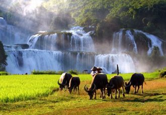 cascata di ban gioc cao bang vietnam