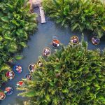 Foresta di cocco di Bay Mau