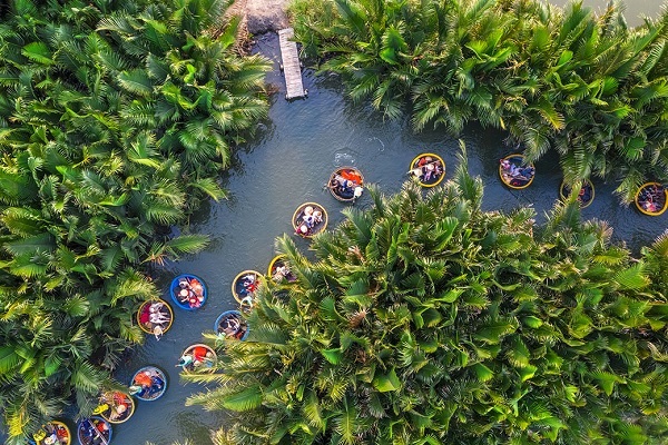 Foresta di cocco di Bay Mau