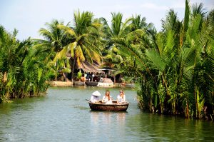 foresta di cocco acquatico di Bay Mau