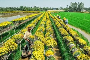 sa dec delta du mékong vietnam voyage