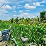 vung-liem-delta-du-mekong-vietnam