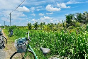 vung-liem-delta-du-mekong-vietnam