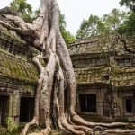 Angkor Wat Cambogia