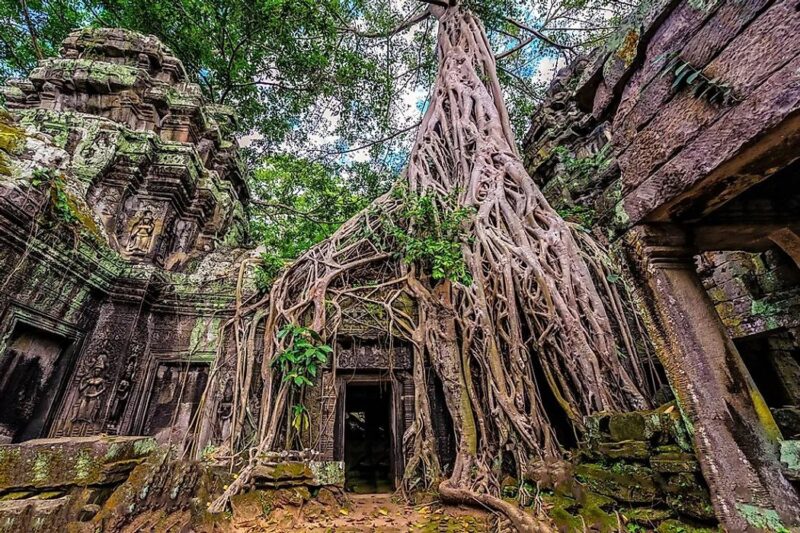 Ta Prohm cambogia viaggio