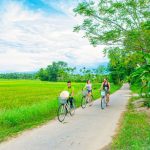 Village Thuy bieu hue