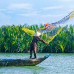 foresta di cocco acquatico di Bay Mau