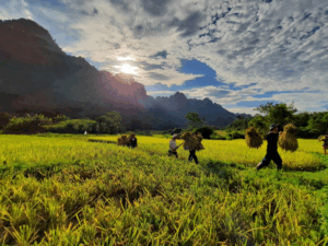 Lam Thuong, la valle nascosta e tranquilla di Yen Bai