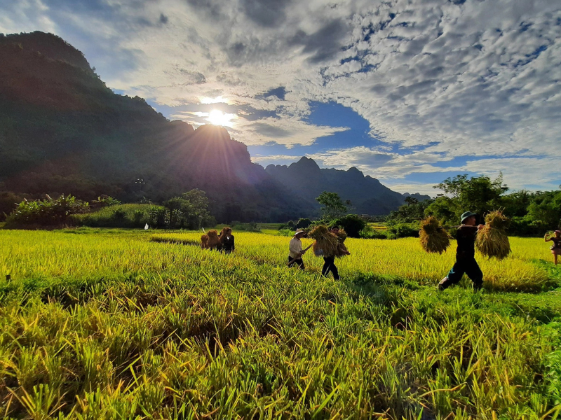 Lam Thuong, la valle nascosta e tranquilla di Yen Bai
