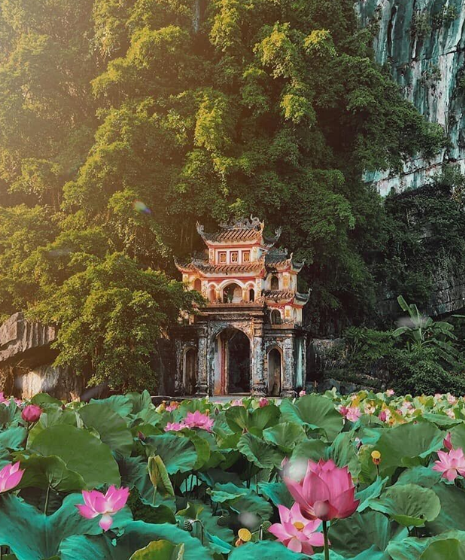 Cosa fare a Ninh Binh ? Top 6 delle attività imperdibili