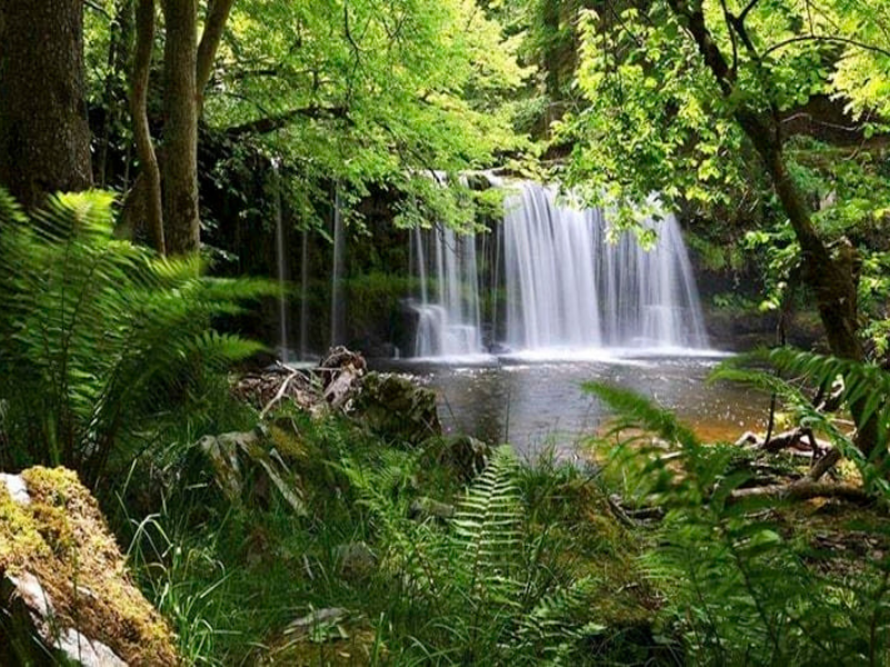 parc national de Phu Quoc