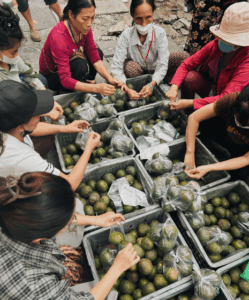 Capitolo 5: Horizon Vietnam Travel accanto ai pazienti dell’Istituto di Ematologia di Hanoi – Azione solidale del 29 ottobre 2025