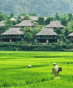 Visitare Mai Chau in 2 giorni : trekking, cultura locale e alloggio presso l’abitante