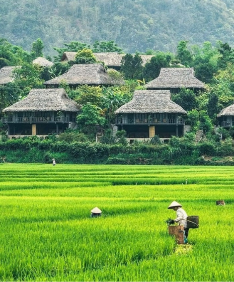 Visitare Mai Chau in 2 giorni : trekking, cultura locale e alloggio presso l’abitante