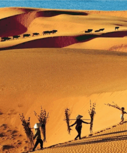 Mui Ne, Vietnam : guida completa per un soggiorno balneare e culturale