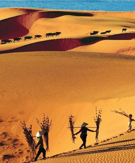 Mui Ne, Vietnam : guida completa per un soggiorno balneare e culturale