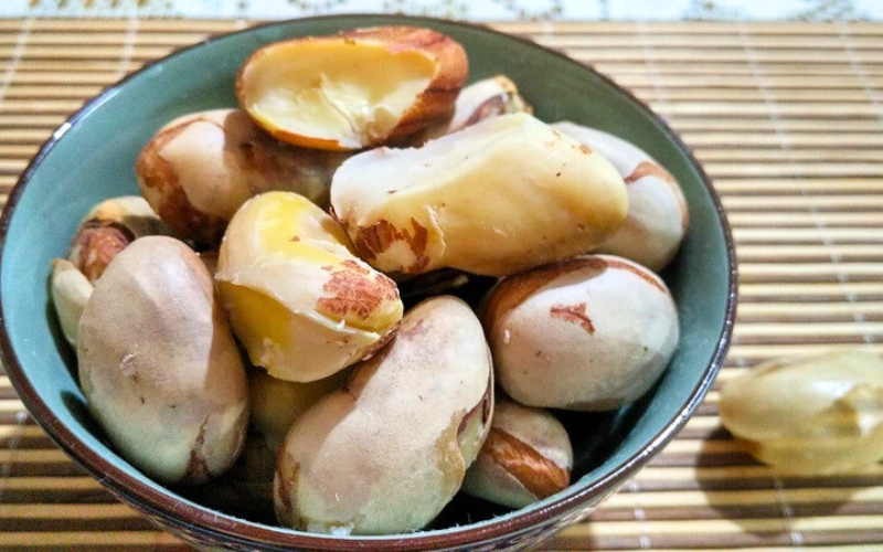 Les graines de jacquier, souvent jetées, sont pourtant riches en nutriments et en protéines végétales