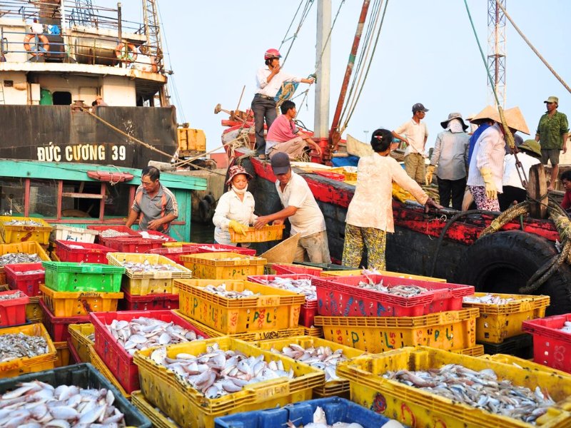 I frutti di mare e i pesci del Vietnam