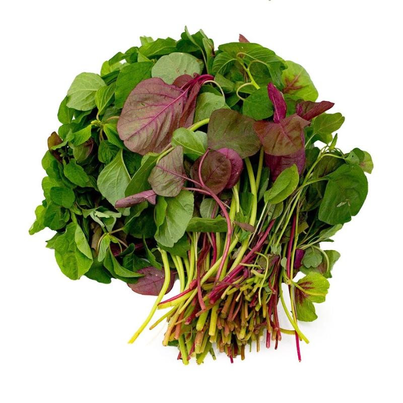 Feuilles de rau den, tendres et pourpres, riches en fer et en saveurs