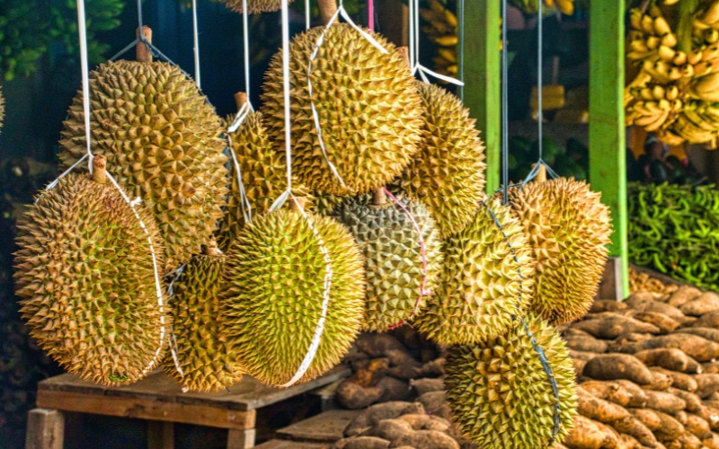 Le durian, roi des fruits vietnamiens, célèbre pour son parfum puissant et son goût inoubliable