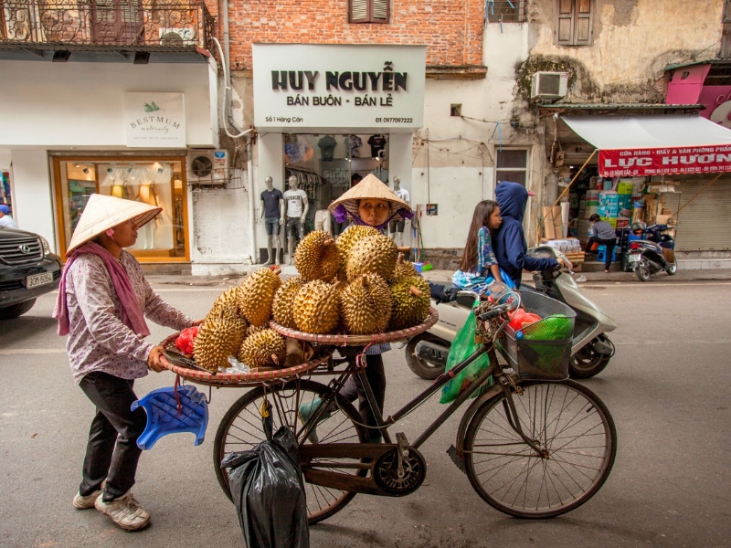 Top 10 frutti esotici del Vietnam da scoprire assolutamente