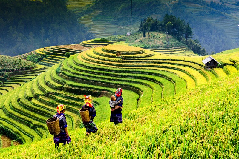 sapa nord vietnam