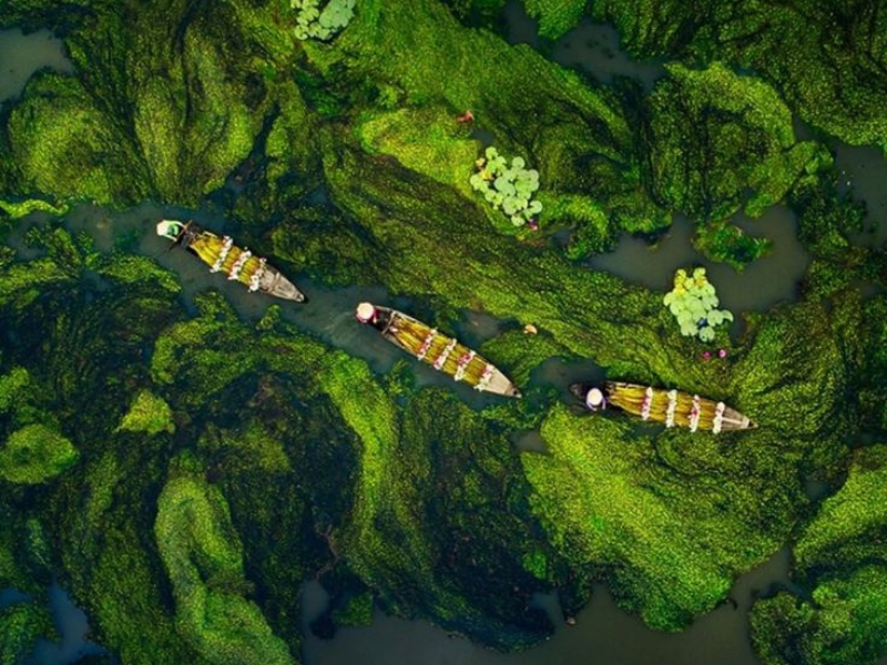 Il Delta del Mekong : Guida completa al granaio del riso del Vietnam