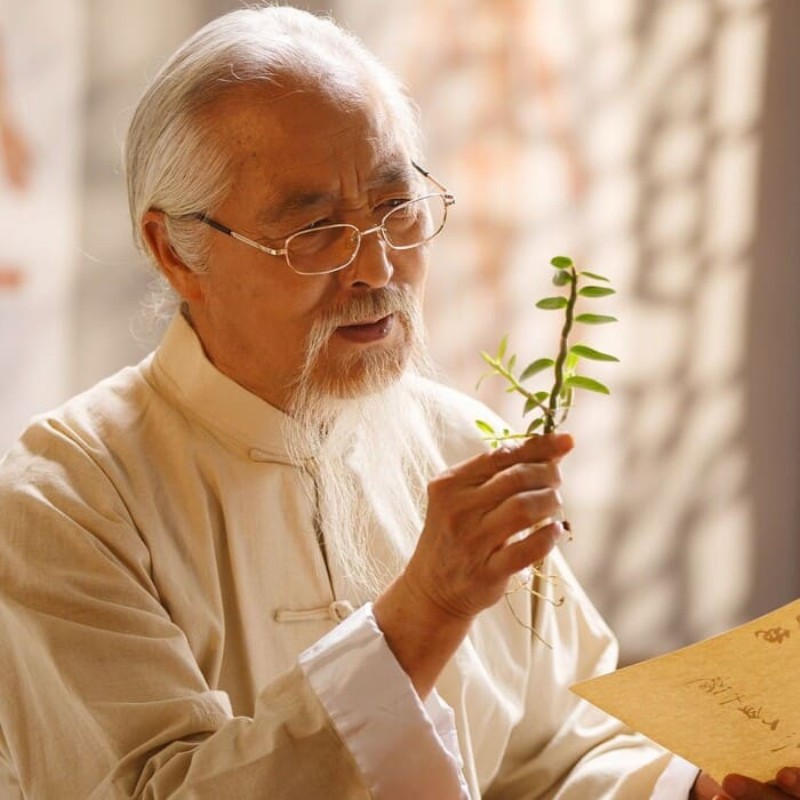 Médecine traditionnelle vietnamienne