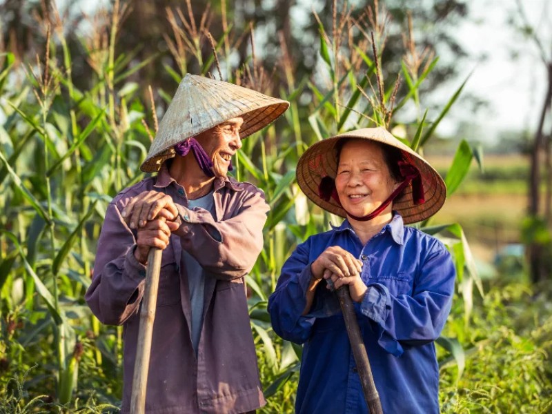 Il cappello conico vietnamita