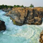 Lippi_Don_Khone_Laos