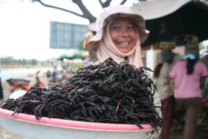 fried_spiders_skuon_camboya