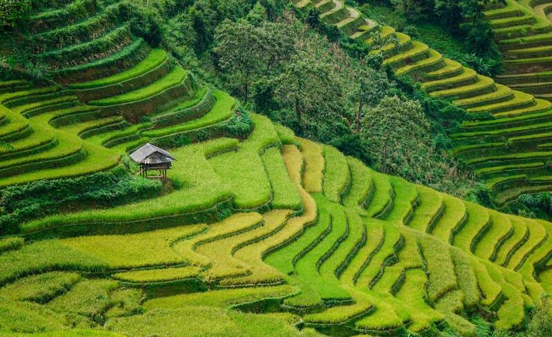 mu cang chai - sa pa