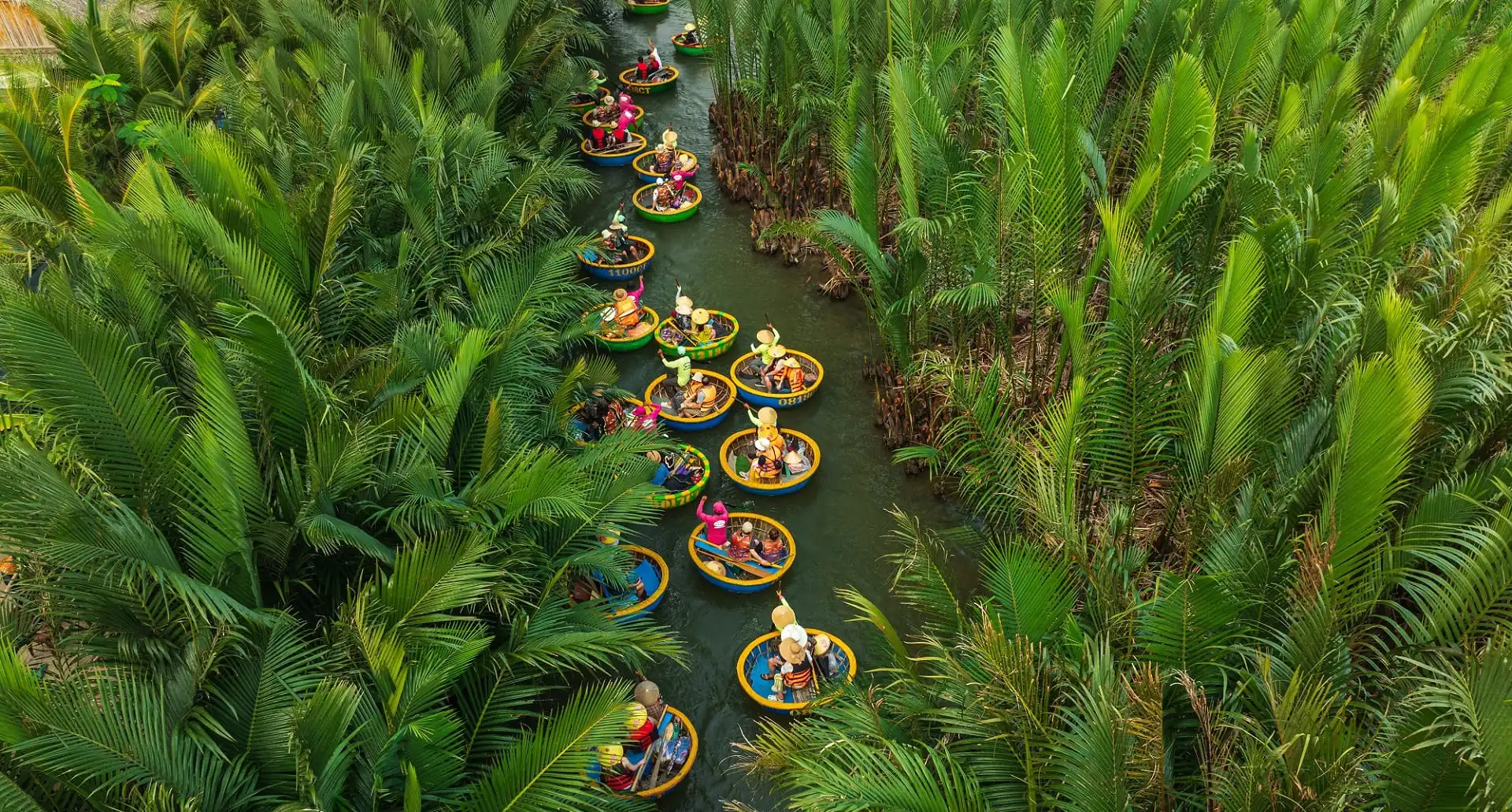 Foresta di palme da cocco di Hoi An